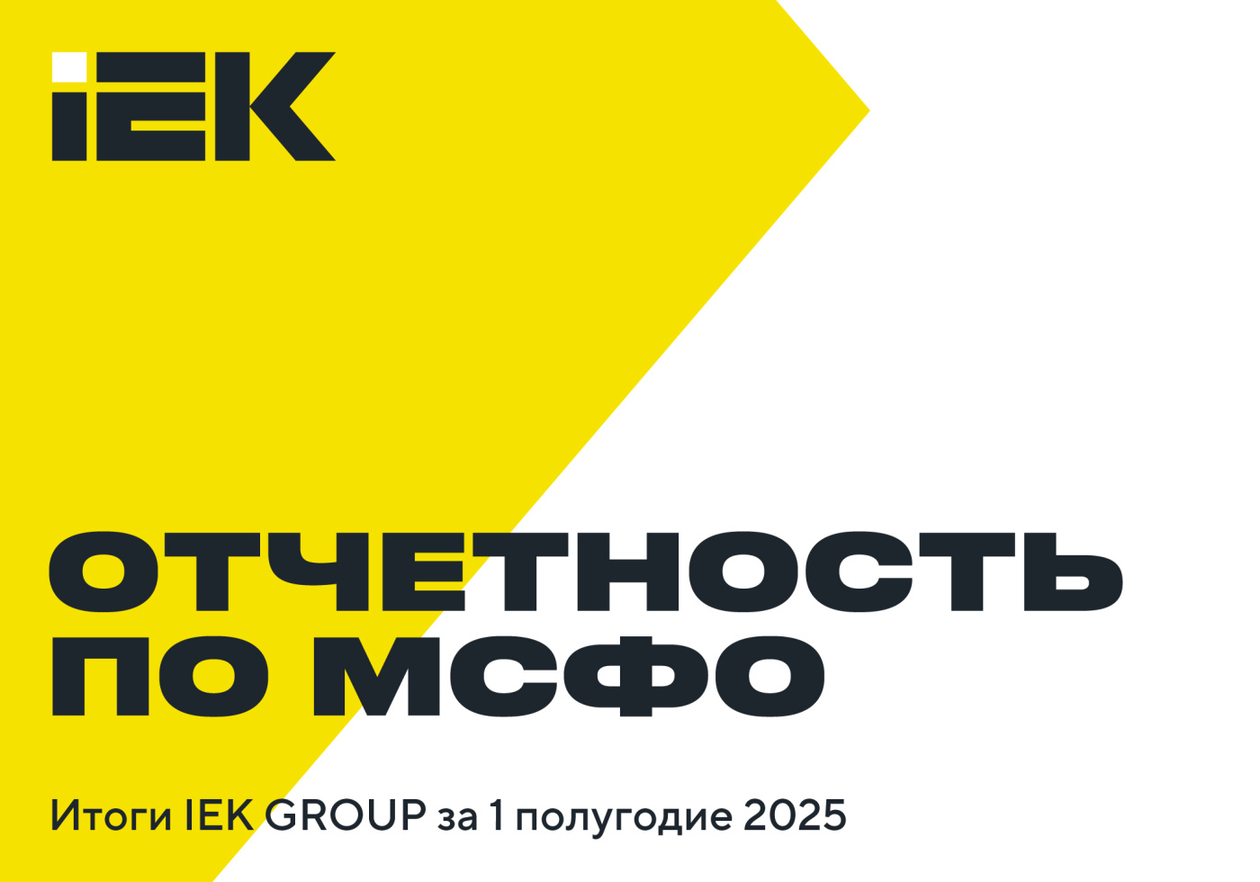 imige_post_IEK_1000x700px_Otchetnost_MSFO_view.jpg